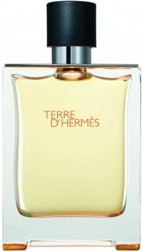 i-terre-d-hermes-hermes-woda-toaletowa-100ml.webp