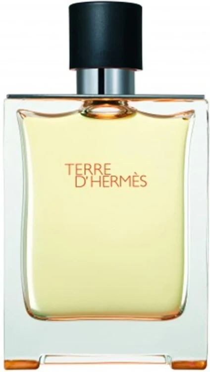 i-terre-d-hermes-hermes-woda-toaletowa-100ml.webp